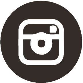 instagram icon